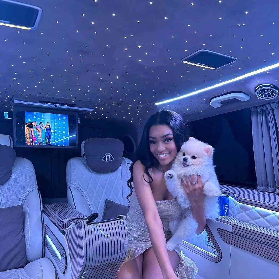Mariage luxe Paris van Maybach - VTC Pour Tous décoration florale transport VIP mariés